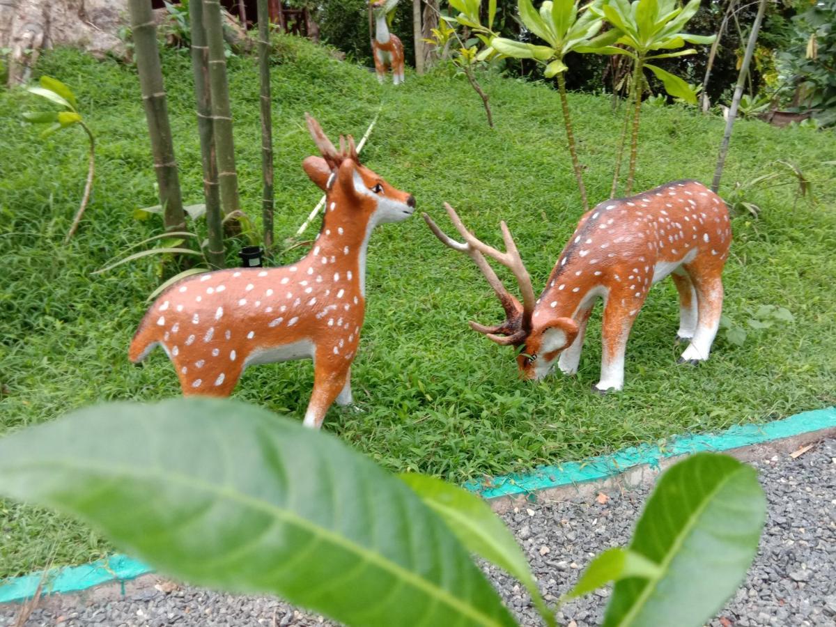 My House 阿杭格默 外观 照片