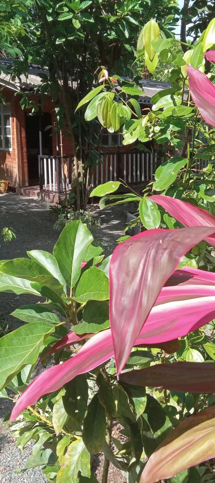 My House 阿杭格默 外观 照片